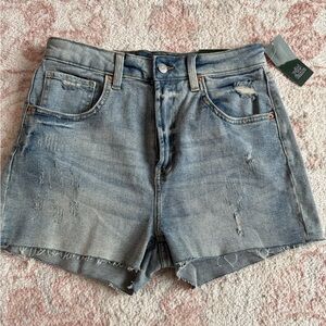NWT Size 10 Light Blue Jean Shorts